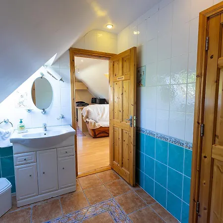 The Tides バリーバニオン