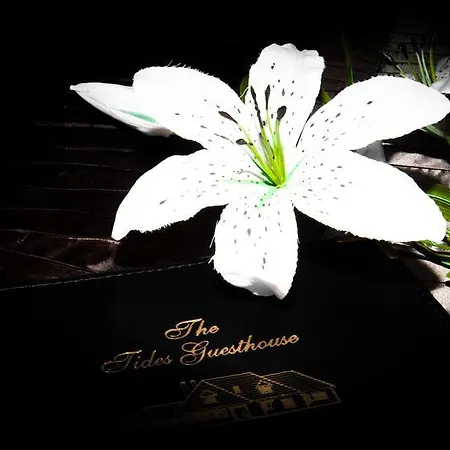 住宿加早餐酒店 The Tides 巴利巴宁