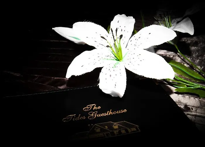 Bed & Breakfast The Tides Ballybunion Ballybunion