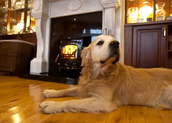 The Tides 5* Ballybunion